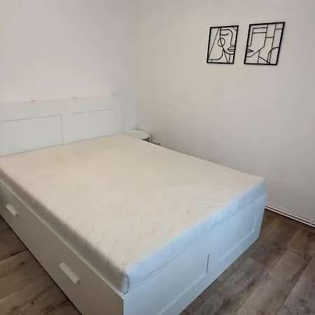 Apartment 3 2 Bathrooms Timisoara